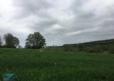 Deniz Manzaralı Doğa İçinde Satılık Tarla