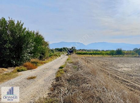 Yağcılar Da 3.340 M2 Tarla , Resmi Yola Cepheli , Kampüse Yakın