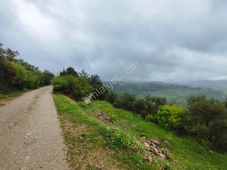 Muğla Yerkesik Yeniköy'de Satılık 926 M2 Tarla