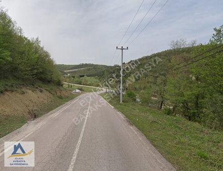 Kocaeli Belen'de Ormana Komşu Köşe Satılık 880 M² Parsel