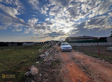 Duacı 1000m2 Satılık Arsa