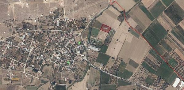 Yönter Emlaktan Yenioba Köyünde Tek Tapu Zeytinlik