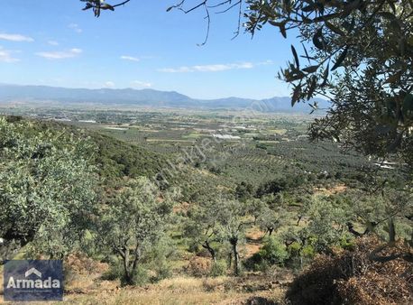 Bayındır Kızılcaovada Yatırım Fırsatı