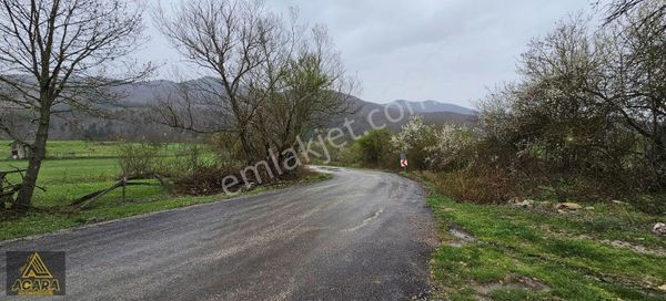 Acara'dan Satılık / İznik Elmalı'da 2.453 M² Tarla