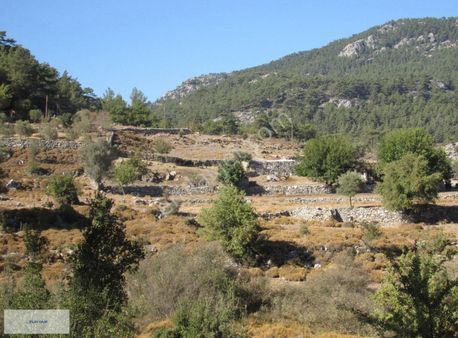 Osmanıye Camıyanı Satılık Ozel Fıyatlı Arsa