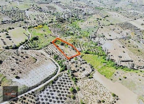 Tekirdağ Şarköy Mursallı'da Bağ Tapulu 2569 M2 Müstakil Parsel