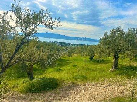 Aliağa Şakran Ful Deniz Manzaralı 2773 M2