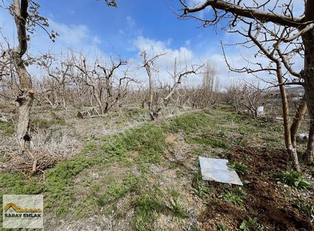 Saray Emlaktan Satılık Niğde Gümüşlerde 3.327.93m2 Bakımlı Bahçe