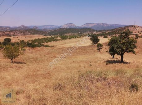 Bilecik Söğüt Küre Köye Yakın Kullanışlı Tarla