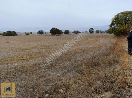 Bilecik Gölpazarı Karaağaç Köye Asfalta Yakın Yollu Bağevi Uygun