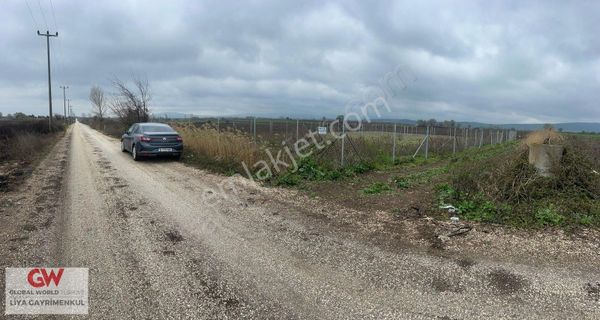 Asfalta Cephe Hobi Bahçesi