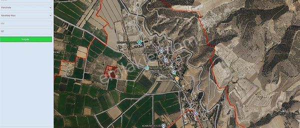 Pamukkale Kavakbaşında Satılık Zeytin Bahçesi