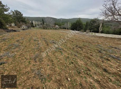 Honaz Dağı Milli Parkı Girişi Denizli Manzaralı Fırsat Arazi