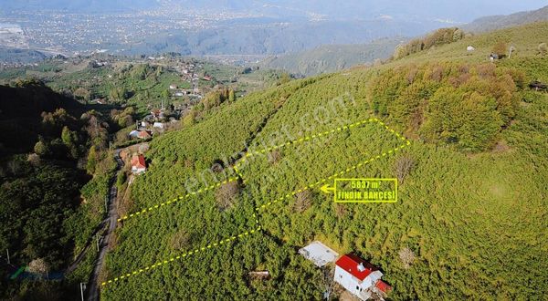 Mevlana Emlaktan Taşburun'da 5837 M² Yatırıma Uygun Arazi