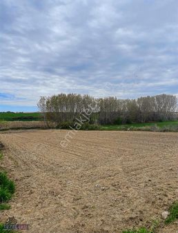 Kırklareli Kavaklı'da Yüksek M2 Uygun Fiyatlı Müstakil Tarla