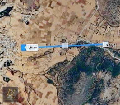 Denizli Bekilli Köselli 107 Ada 12 Par 1.558m2 Tarla Müstakil Ta