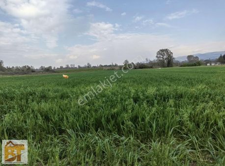 Bt Gayrimenkul Den Nilüfer Merkezde Satılık Tarla