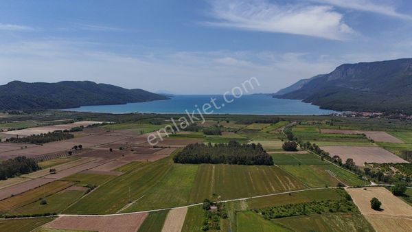 Muğla Ula Gökova’da Satılık Tarla.