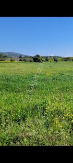 Yeniköy Satılık Arazi