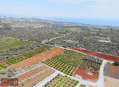 Batısandalda 3 Parça Halinde Satılık Köyiçi İmarlı Parseller