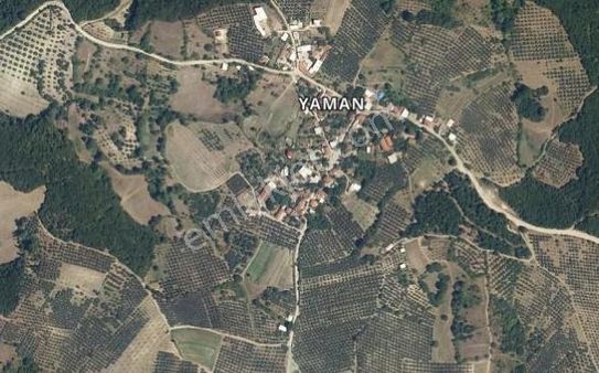 Pınar Emlak'tan Mudanya Yaman Köy Kuyupınar Mevkii'nde Satılık Tarla