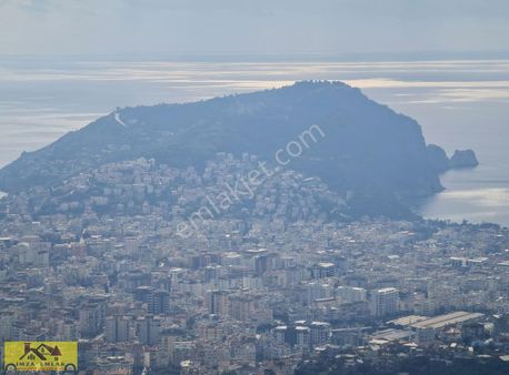 Alanya Satılık Verimli Tarla