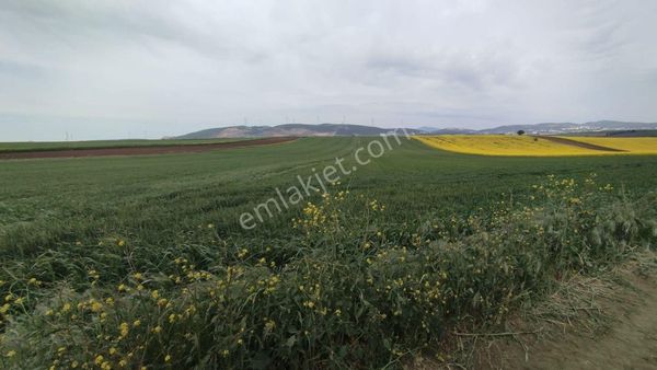 Feyzullah'tan Bezirci'de 16420 M2 Satılık Tarla