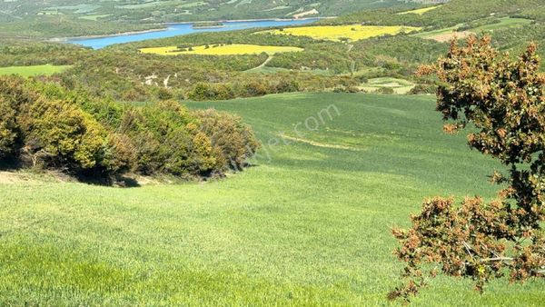 Çanakkale Gelibolu Çokal. Muhteşem Manzaraya Sahip Yatırımlık Tarla