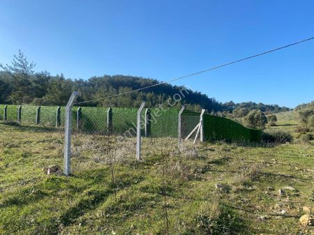 Menderes Değirmen Derede Mirastan Bölme 754 M² Satılık