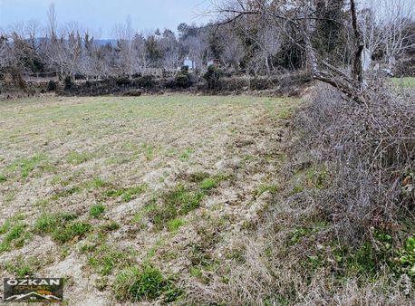 Muğla Kavaklıdere Çamyayla'da 2.680m2 Satılık Tarla