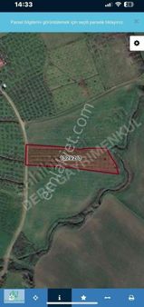 Taflanda Satılık 2700 M2 Ceviz Bahçesi