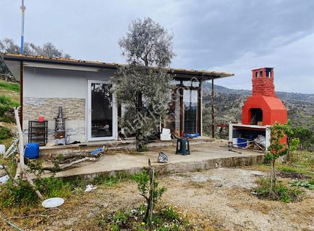 Milas Ketendere Fırsat Köy Evi Ve Zeytinliği 2.000 M2 !!!!!!!!