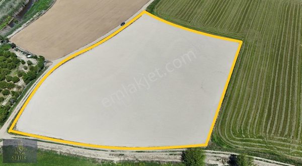 ***şehir'den***nazilli Sümer Ovası 7500m2 Pamuk Tarlası**