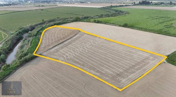 ***şehir'den***nazilli Sümer Ovası 11.397m2 Pamuk Tarlası**