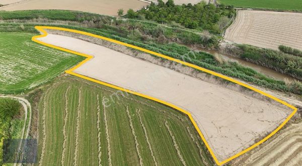 ***şehir'den***nazilli Sümer Ovası 2336m2 Pamuk Tarlası**