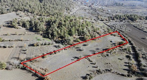 Sng Gayrimenkul Den Şehren Mah.fırsat 4.555 M2 Arazi