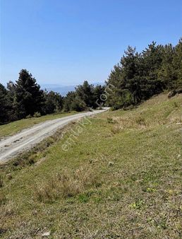 Sng Gayrimenkul Den Pamukova Bakacak Mahallesinde Arazi