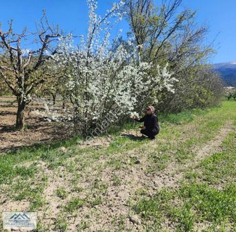 Satılık,korkuteli Yazırda 2162 M2 Geniş Satılık Arazi