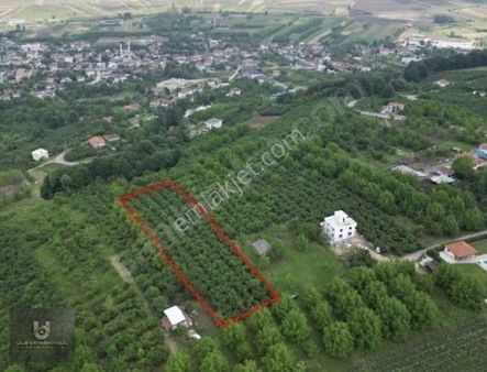 Serdivan Çubuklu Elektrik-su-doğalgaz Ve Yol Olan Fındık Bahçesi