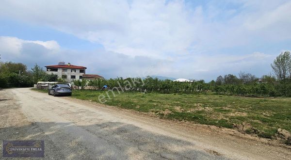 Düzce Cumayeri Çevrik Satılık Kelepir Arsa 635m2 Konut İmarlı