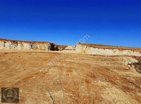 Baron Dan Busem 30 Metre Bulvar Üzeri Arsa