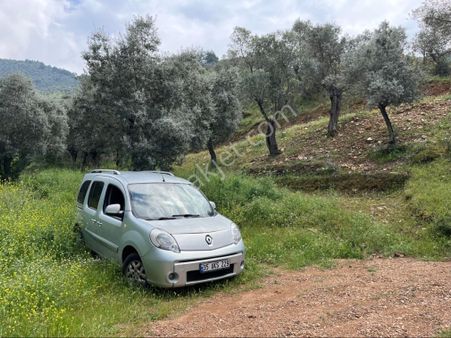 İzmir Bayındır Ergenli Köye Yakın Zeytinlik
