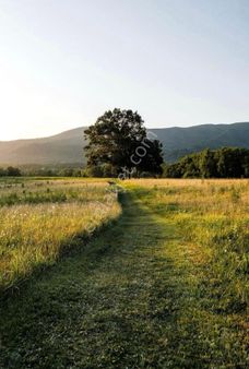 Temelli Bacı Mahallesi’nde 7186 M2 Tek Tapu Tarla
