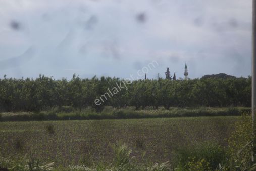 İzmir Torbalı Gold Emlaktan Satılık Tarla