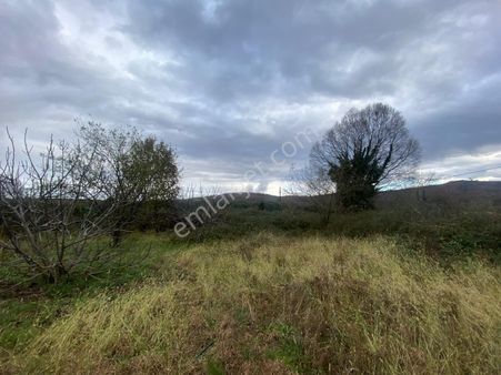 Beykoz Alibahadır Mahallesi Köprüye Yakın Ulaşım Cadde Kenarı 2.369,88 M2 Arsa