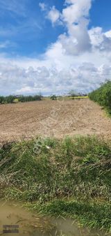 Manavgat Demircilerde 3. Dönüm Tek Tapu Tarla