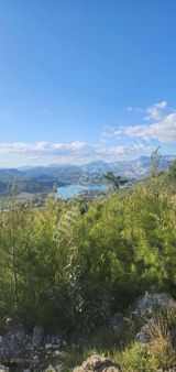 Kaya Emlaktan Aşağı Işıklarda 7500 M2 Tek Tapu Tarla