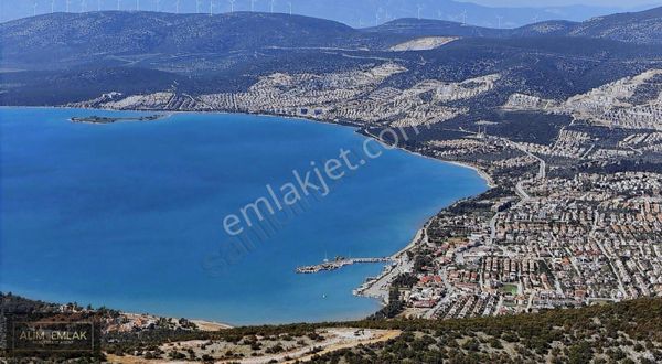 Kısa Sürede Zengin Edecek Harika Yatırım Fırsatlı Zeytinlik !