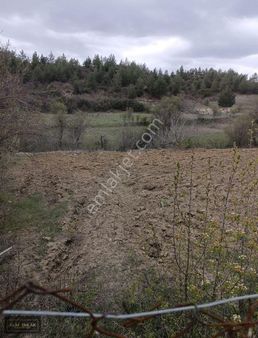 Denizli Acıpayam Köke Köy İçerisinde 1000 M2 Uygun Fiyata Arazi