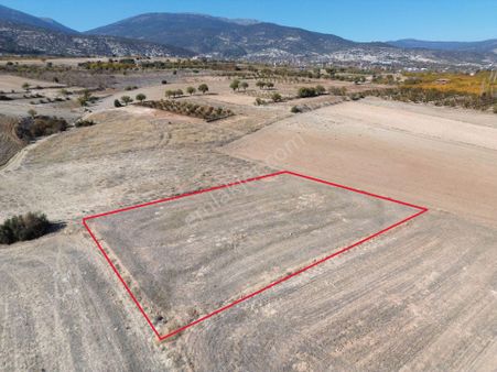 Korkuteli Yeltende Bahçe Yapımına Uygun Bölgede Olan Tarlaa